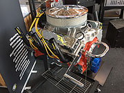 Garten M&uuml;nchen 2017 (Foto: Martin Schmitz)